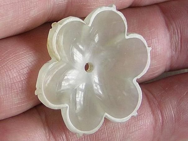 Flower  63 - (5411)